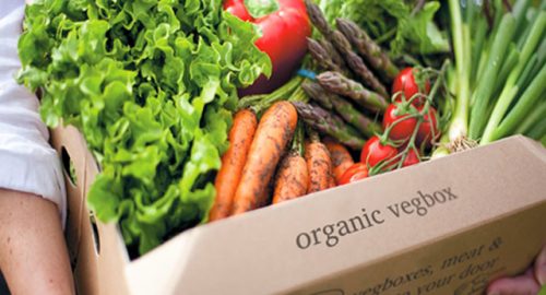 vegetables-box